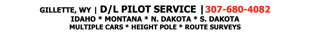 D/L PILOT SERVICE advertisement