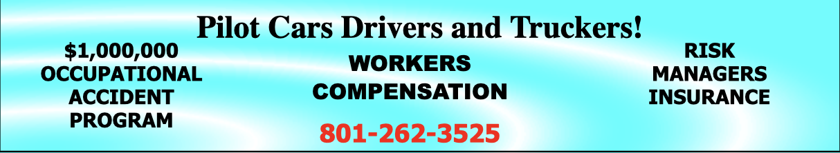RISK MANAGERS INSURANCE advertisement